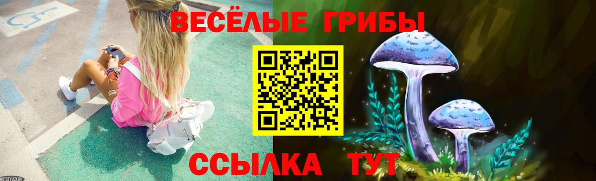 Псилоцибиновые грибы мухоморы Орехово-Зуево